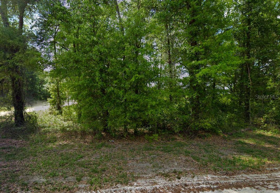 Fort White, FL 32038,247 SW MERCIFUL PL