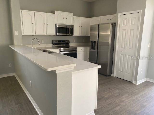 Mount Dora, FL 32757,9048 SAINT ANDREWS WAY