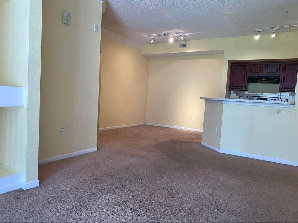 Orlando, FL 32821,13102 MULBERRY PARK DR #917