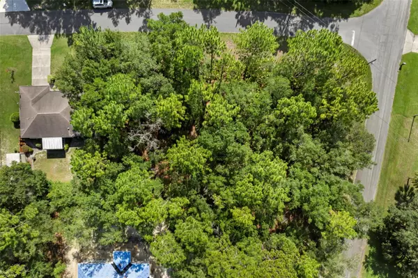Dunnellon, FL 34434,6733 N NANTUCKET WAY