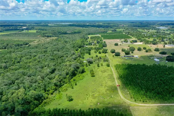 Clermont, FL 34714,11301 CLAYTOR RD