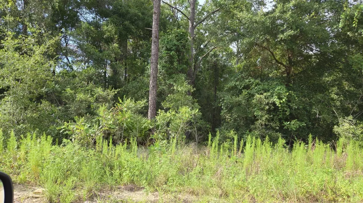 Dunnellon, FL 34432,0 SW 49TH PL