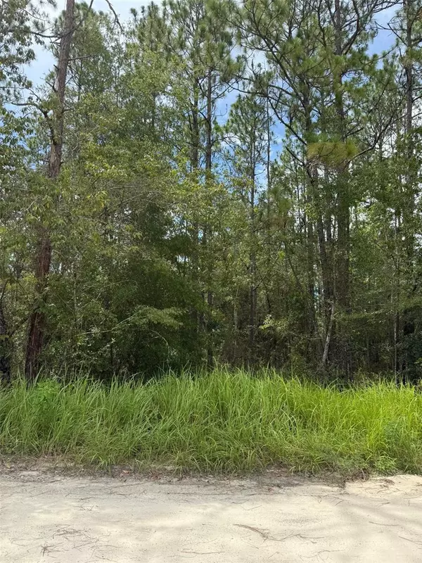 4500 SW 175TH CT, Dunnellon, FL 34432