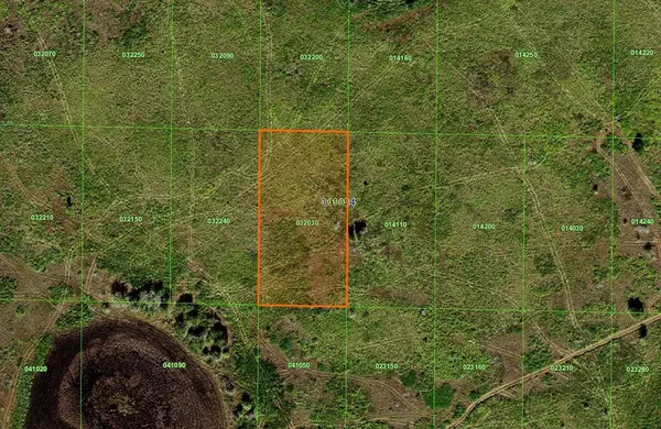 Lake Wales, FL 33898,0 RIVER RANCH BLVD