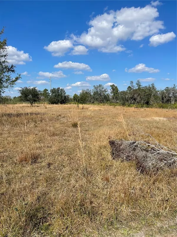 Lake Wales, FL 33859,HAMMERMILL AVE