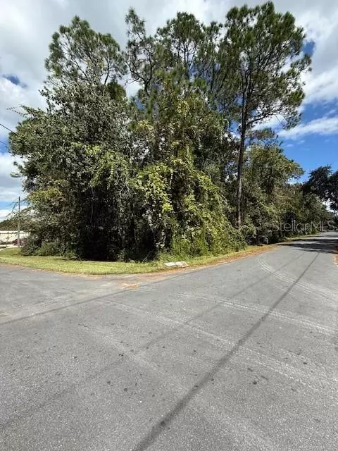 Kissimmee, FL 34746,0 HIBISCUS RD