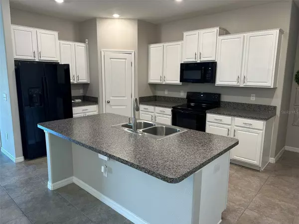 Ruskin, FL 33573,15438 WICKED STRONG ST