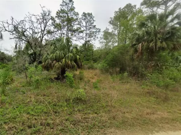 Crystal River, FL 34428,9575 N WESTWOOD ACRES TER TER