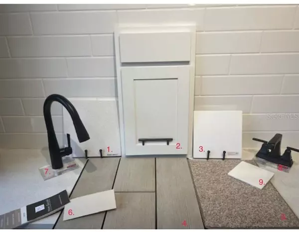 Mount Dora, FL 32757,813 SLIVER RIDGE LN