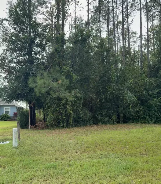 LAKE SMITH RD, Umatilla, FL 32784