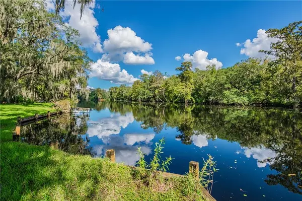 7810 TERRACE OAKS CT, Temple Terrace, FL 33617