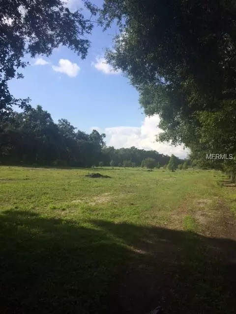 929 PARKER FORBES LN, Plant City, FL 33566