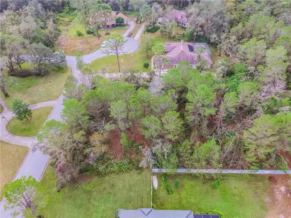 11315 TRALEE DR, Riverview, FL 33569