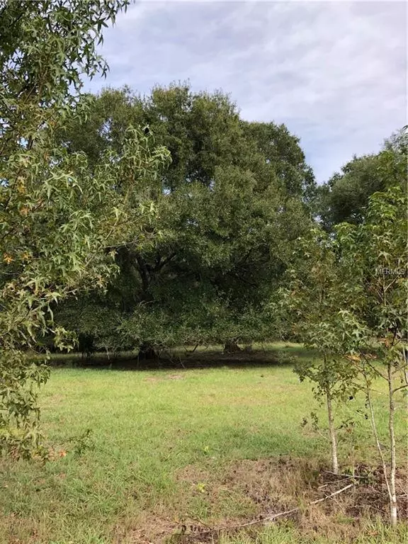 24577 OAKS BLVD N, Land O Lakes, FL 34639