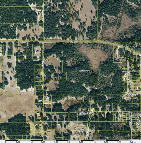 Wildwood, FL 34785,0 COUNTY ROAD 213