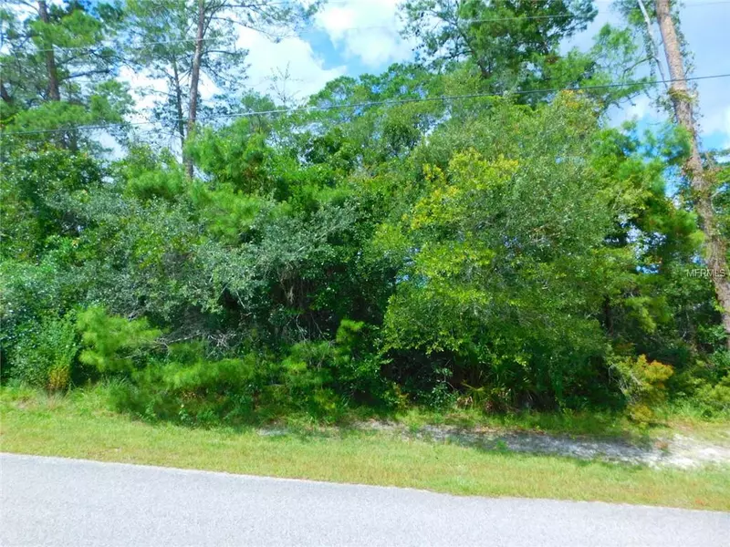 0 OWL RD, Weeki Wachee, FL 34613