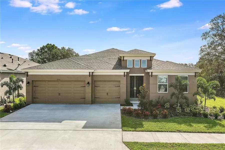 6441 MAIDEN SEA DR, Apollo Beach, FL 33572