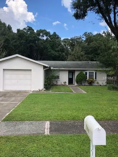 Tampa, FL 33625,13919 PATHFINDER DR