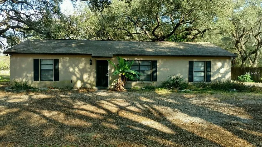 6239 WILLIAMS RD, Seffner, FL 33584