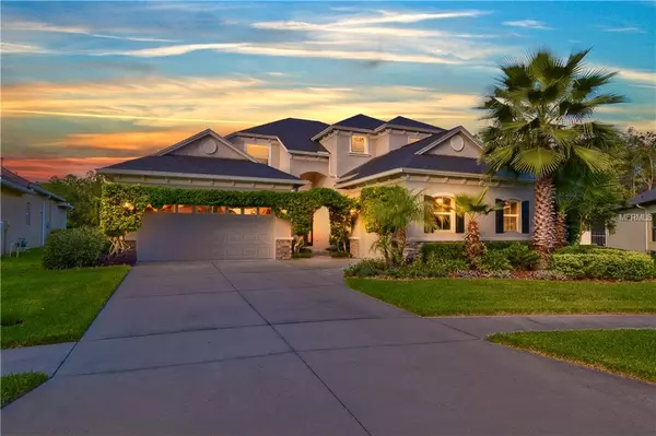 3435 DIAMOND FALLS CIR, Land O Lakes, FL 34638