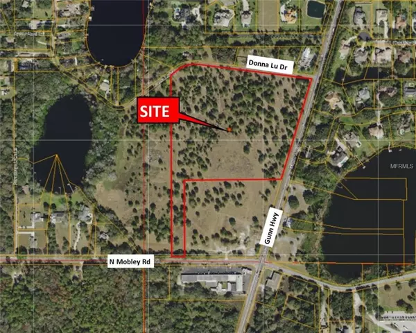 GUNN HWY, Odessa, FL 33556