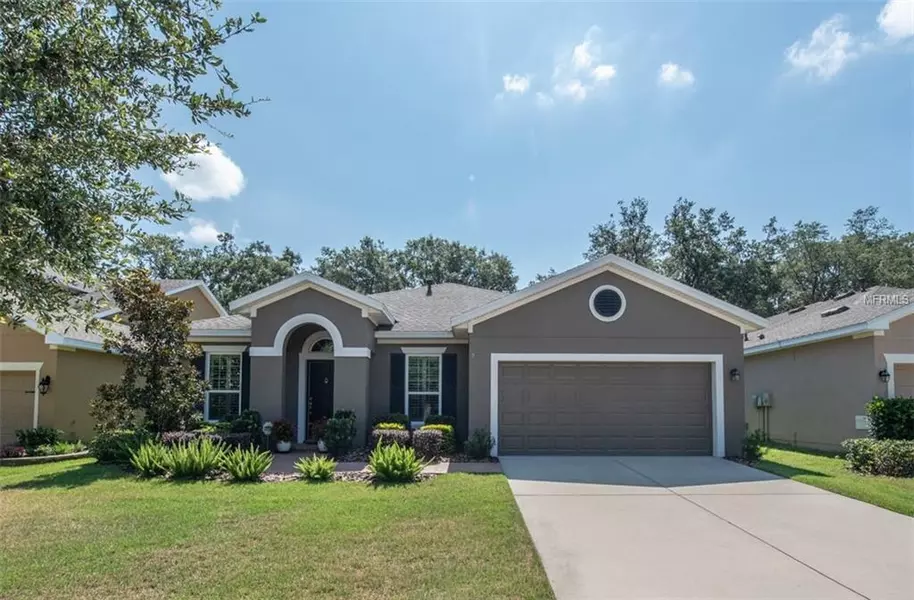 16007 COURTSIDE VIEW DR, Lithia, FL 33547