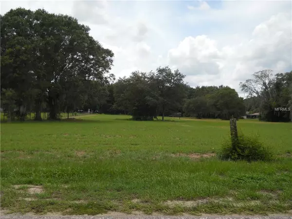 Thonotosassa, FL 33592,0 MCINTOSH RD