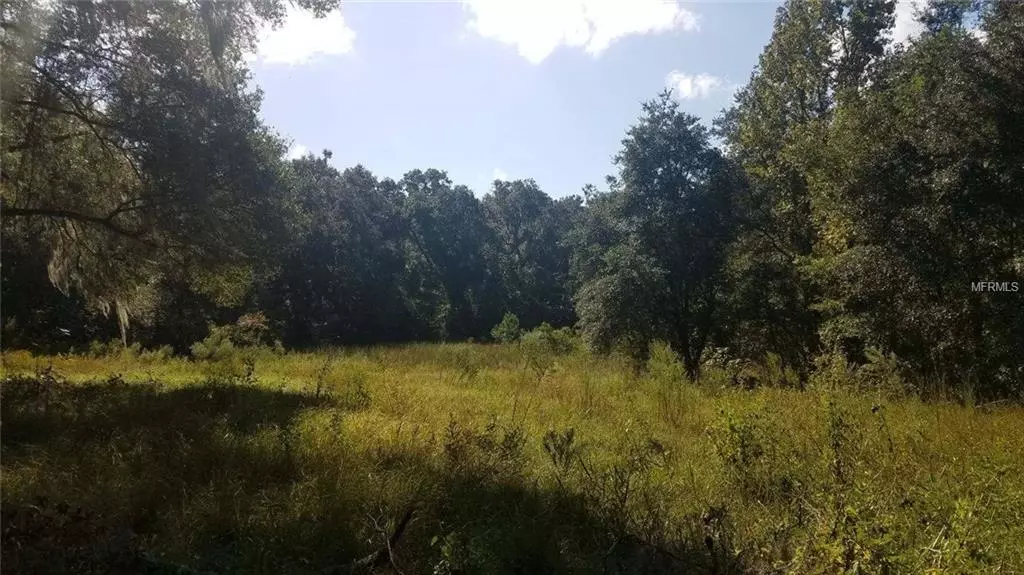 CEDAR TREE DR, Brooksville, FL 34602