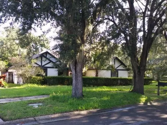 Valrico, FL 33596,3811 COLD CREEK DR