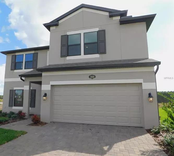 19436 BLOSSOM VINE LN, Lutz, FL 33558