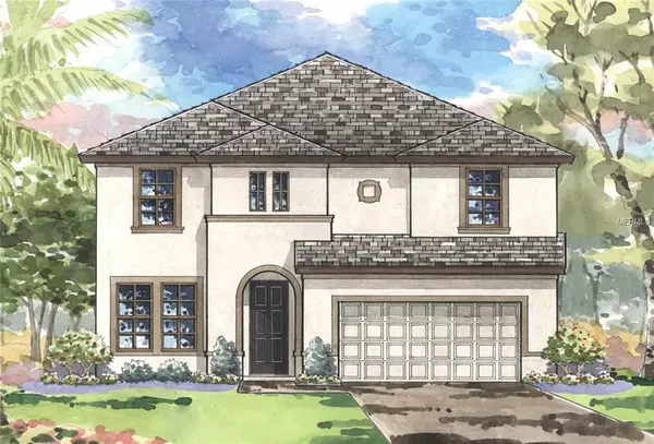 13137 FOXTAIL FERN DR, Riverview, FL 33579