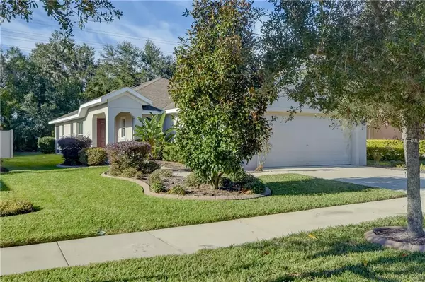 11305 THAMES FARE WAY, Lithia, FL 33547