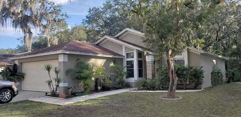 4135 QUAIL BRIAR DR, Valrico, FL 33596