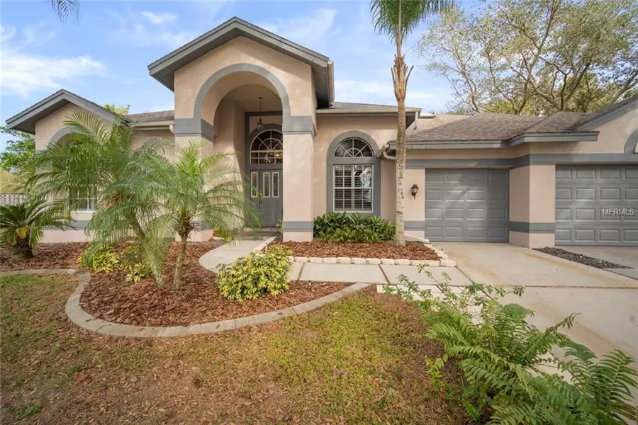 3901 NAPA PL, Valrico, FL 33596