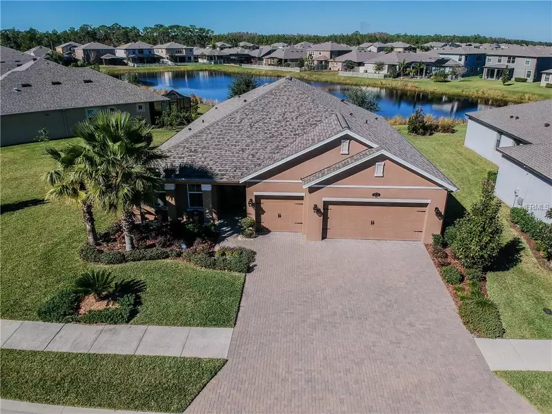 1871 FOX GRAPE LOOP, Lutz, FL 33558