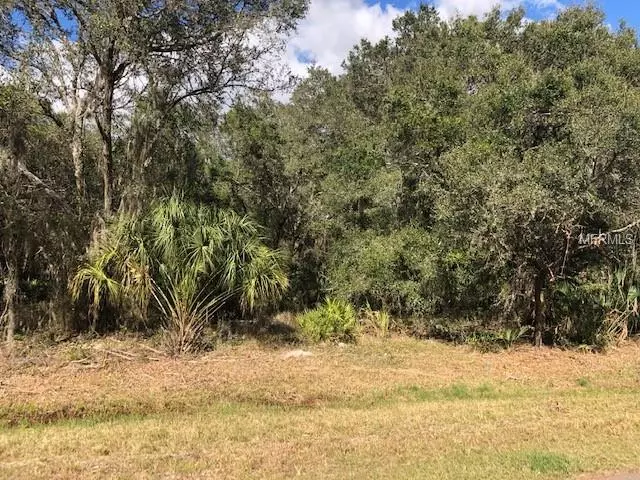 Wimauma, FL 33598,1805 WAGONWHEEL RD