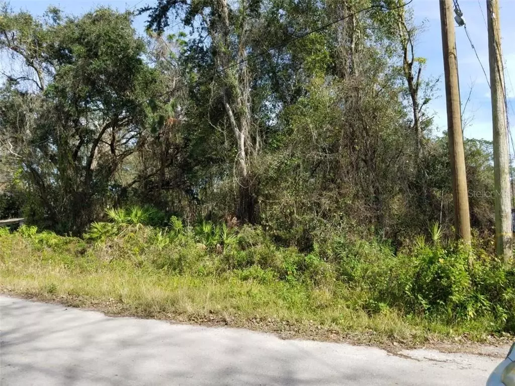 New Port Richey, FL 34654,13021 MONICA AVE