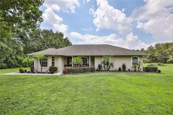4618 REOLA RD, Dover, FL 33527