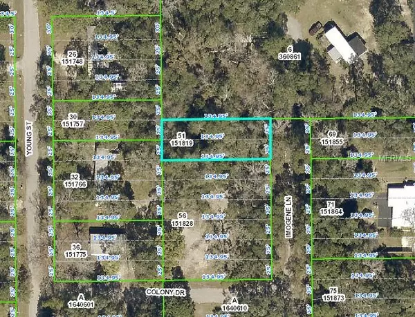 IMOGENE, Brooksville, FL 34601