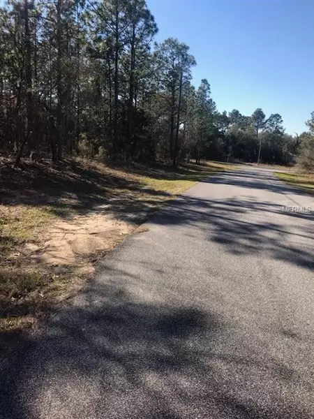 1534 W NOON PL, Citrus Springs, FL 34434