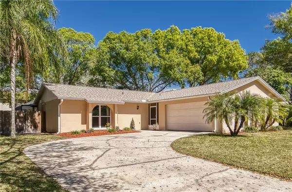 4013 ARROYO LN, Tampa, FL 33624