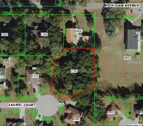 32541 LAUREL CT, San Antonio, FL 33576