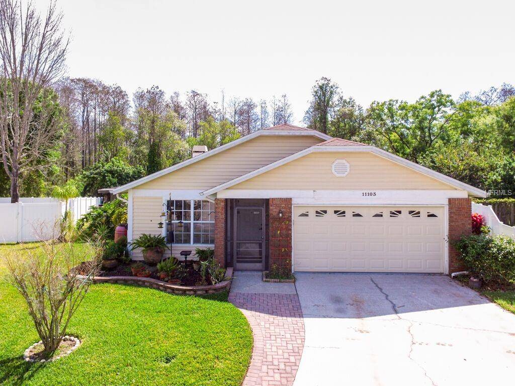 11103 ELMFIELD DR, Tampa, FL 33625