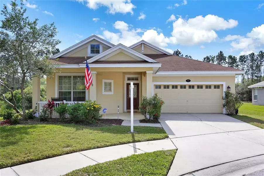 5152 PHEASANT WOODS DR, Lutz, FL 33558