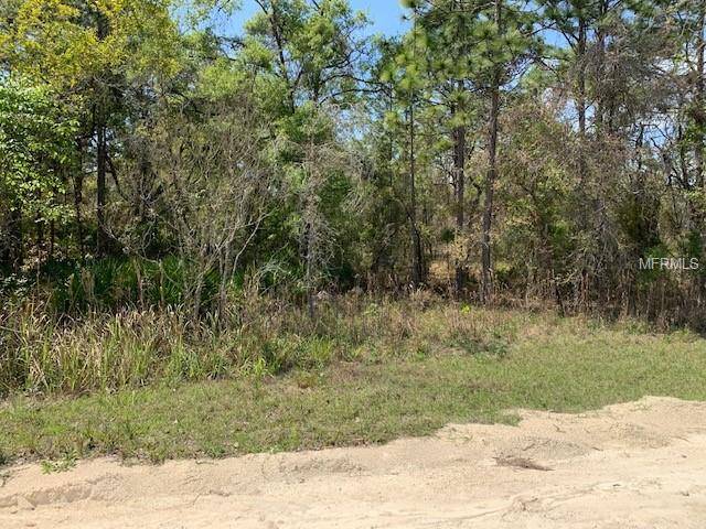 BOONDOCKS DR, Brooksville, FL 34614