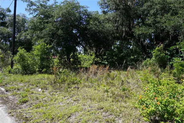 38743 ISLAND AVE, Dade City, FL 33525