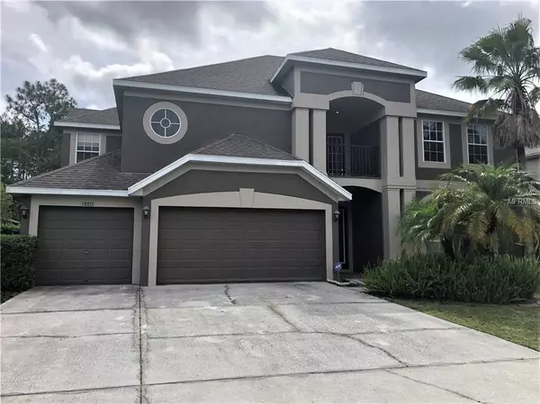 18913 CHAVILLE RD, Lutz, FL 33558