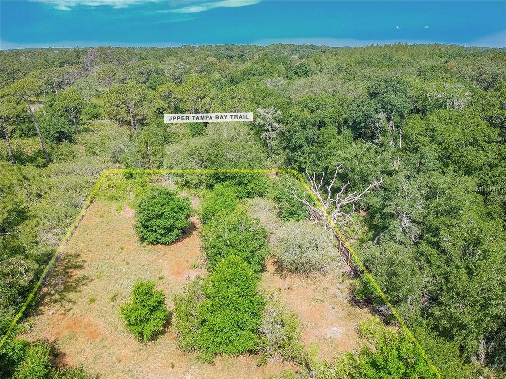 BASSWOOD, Tampa, FL 33625