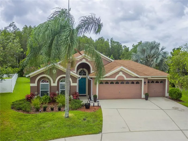 28900 RAINDANCE AVE, Wesley Chapel, FL 33543