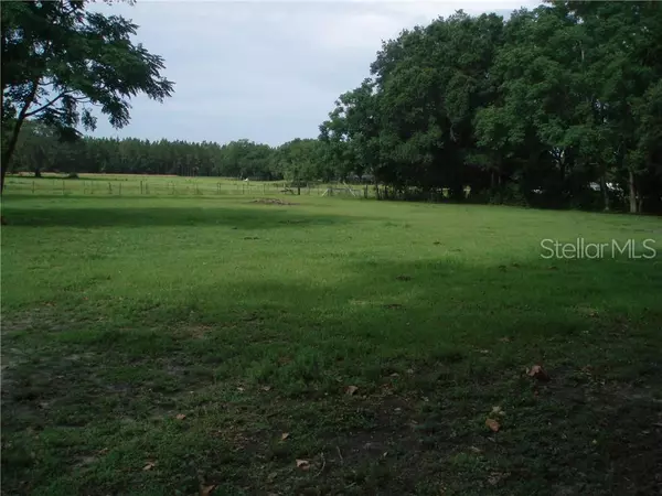 LANIER RD, Zephyrhills, FL 33541